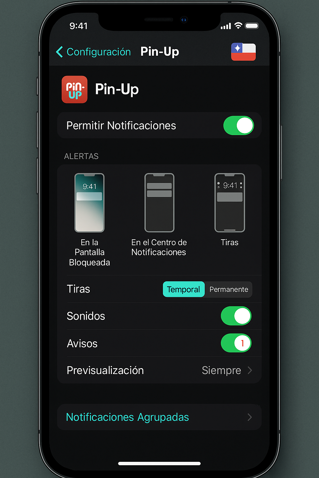 Configurar notificaciones en Pin-Up App (Chile)